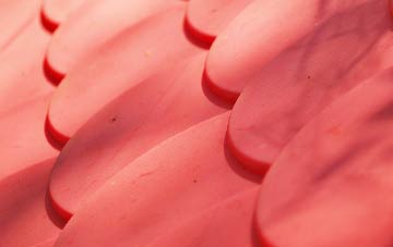 Fivehead plastic roof costs